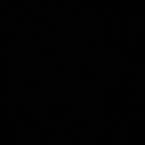 Meet your Posher, Dakota